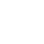 Delyer Swiss Logo