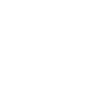 Delyer Swiss